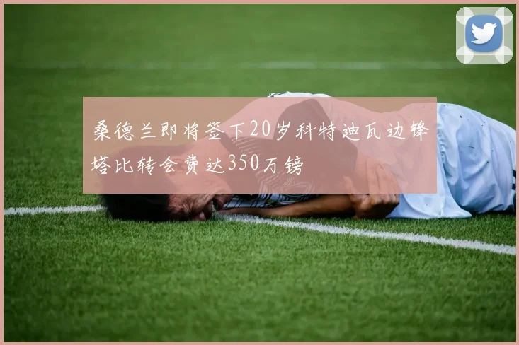 桑德兰即将签下20岁科特迪瓦边锋塔比转会费达350万镑
