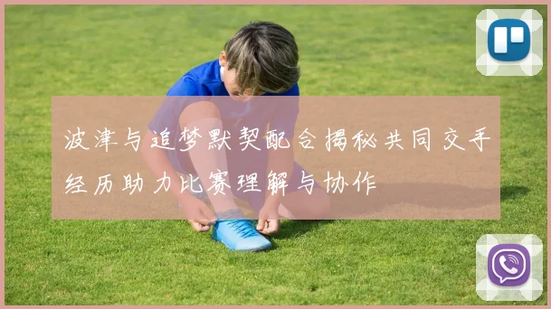 波津与追梦默契配合揭秘共同交手经历助力比赛理解与协作