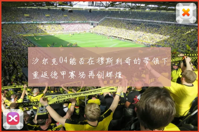 沙尔克04能否在穆斯利奇的带领下重返德甲赛场再创辉煌