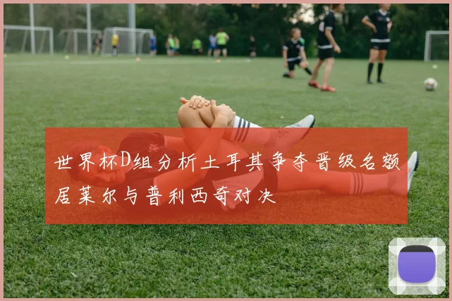 世界杯D组分析土耳其争夺晋级名额居莱尔与普利西奇对决