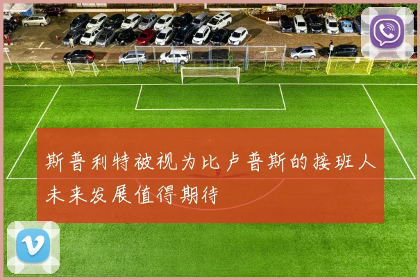 斯普利特被视为比卢普斯的接班人未来发展值得期待